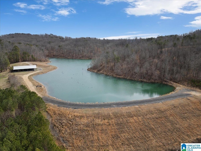 water view featuring a wooded view