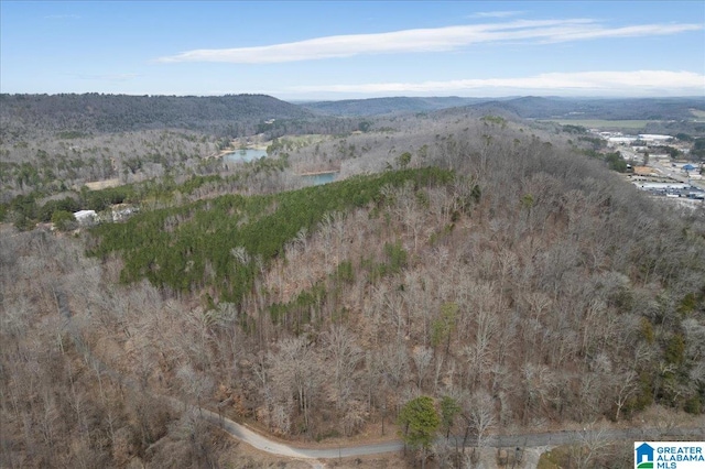 bird's eye view featuring a forest view and a water and mountain view