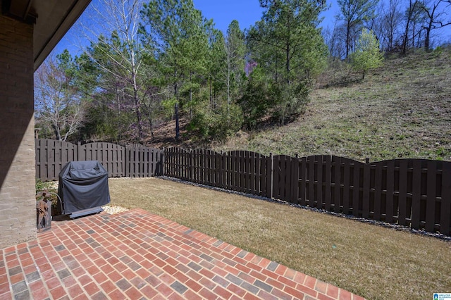 view of patio / terrace with grilling area and a fenced backyard