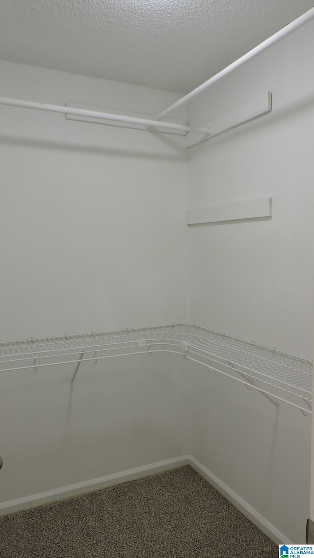spacious closet with carpet flooring