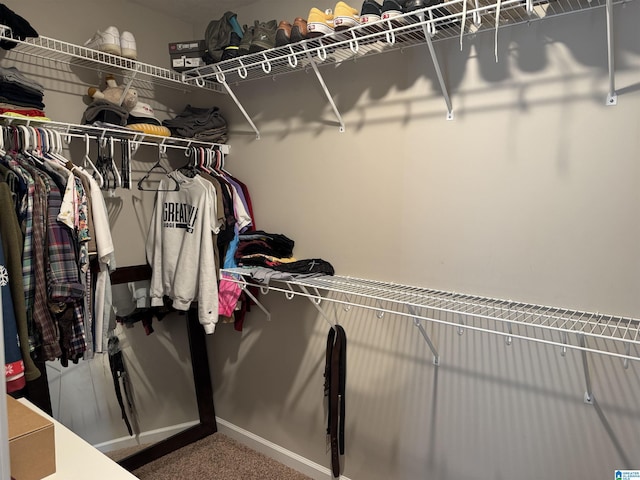 spacious closet with carpet flooring