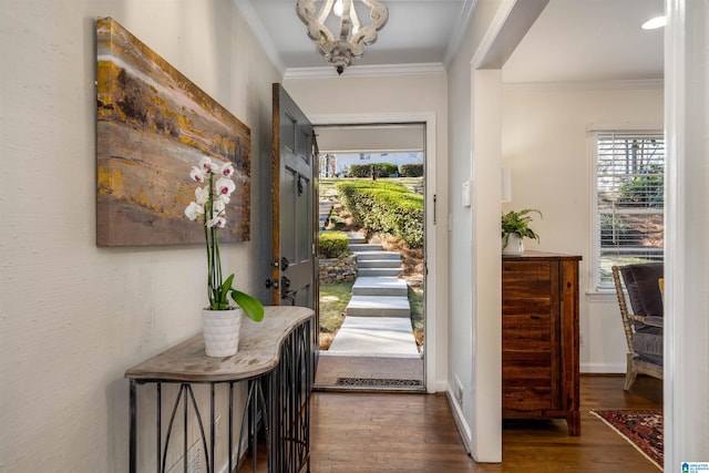 foyer featuring dark wood finished floors, an inviting chandelier, and ornamental molding