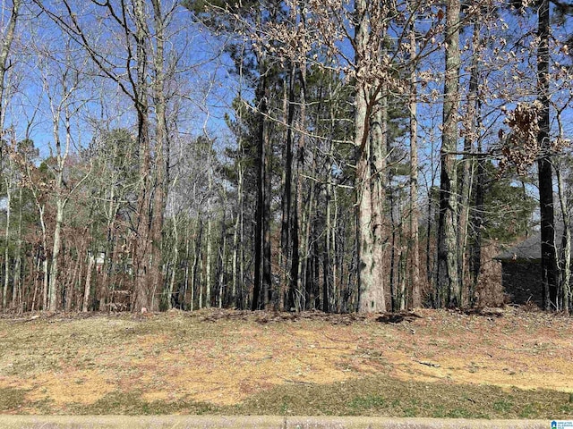 200 Oaklyn Hills Dr Unit 81, Chelsea AL, 35043 land for sale