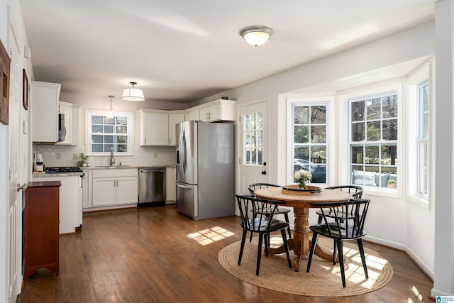 kitchen featuring dark wood finished floors, plenty of natural light, a sink, stainless steel appliances, and backsplash