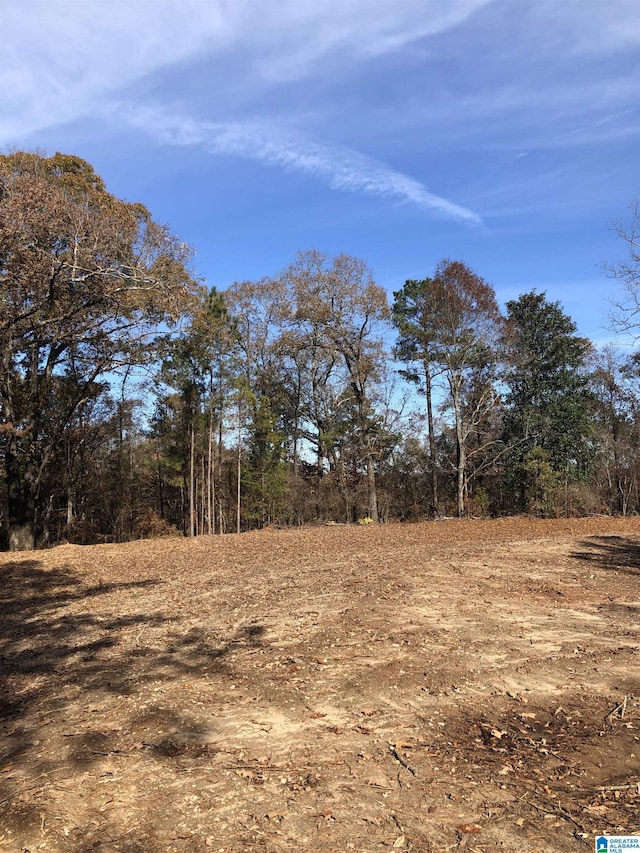 201 Little Dr Unit 0, Tallassee AL, 36078 land for sale