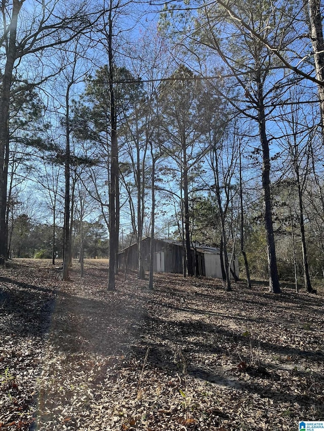 view of yard with an outbuilding and a pole building