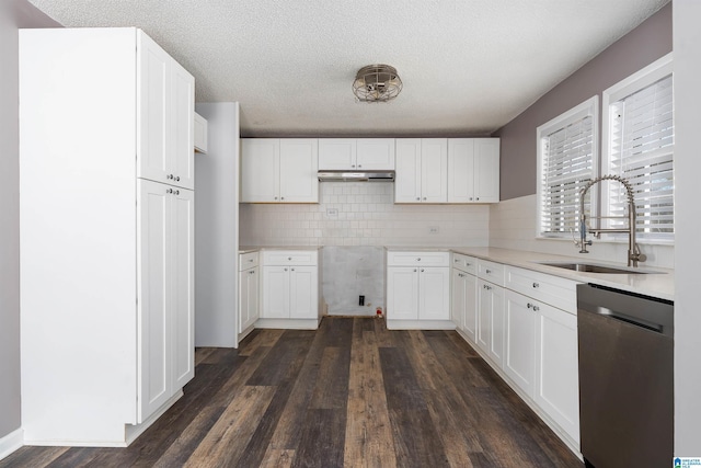 kitchen with dark wood-type flooring, a sink, under cabinet range hood, stainless steel dishwasher, and tasteful backsplash