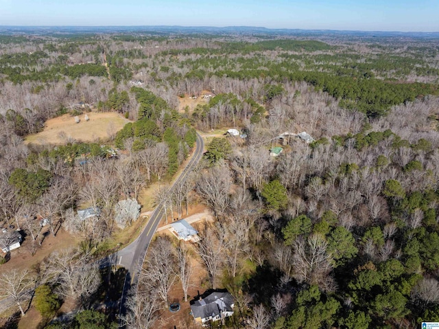 bird's eye view with a forest view