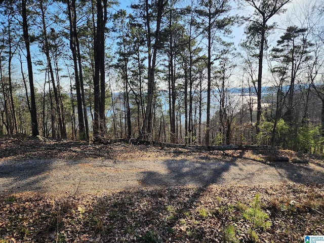 LOT349 Canyon Dr Unit 349, Talladega AL, 35160 land for sale