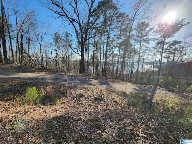 Listing photo 2 for LOT349 Canyon Dr Unit 349, Talladega AL 35160