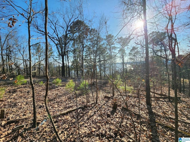 Listing photo 3 for LOT349 Canyon Dr Unit 349, Talladega AL 35160