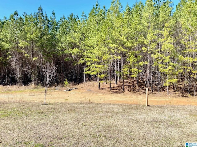 view of local wilderness featuring a forest view