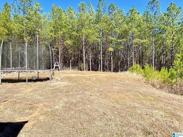 view of yard featuring a trampoline