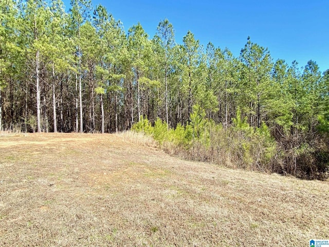 view of local wilderness featuring a wooded view