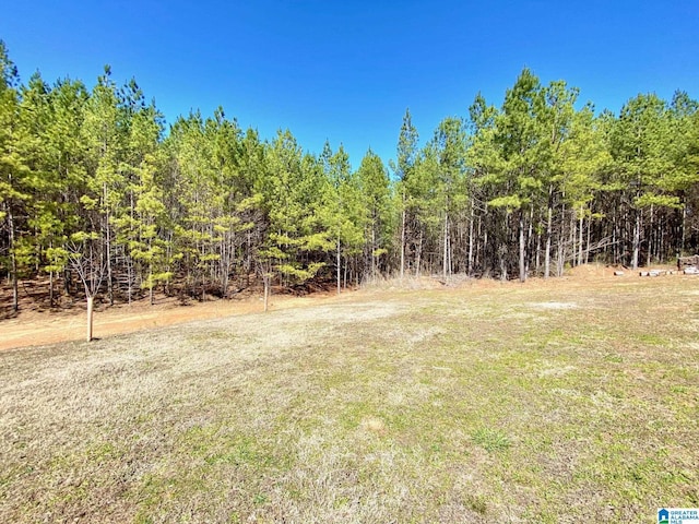 view of yard with a forest view