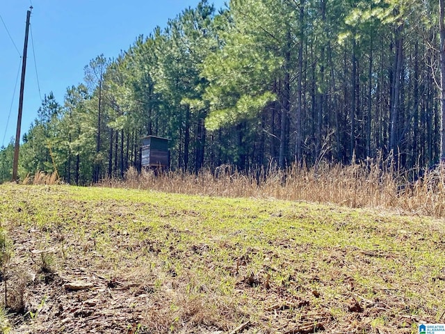 view of local wilderness featuring a view of trees