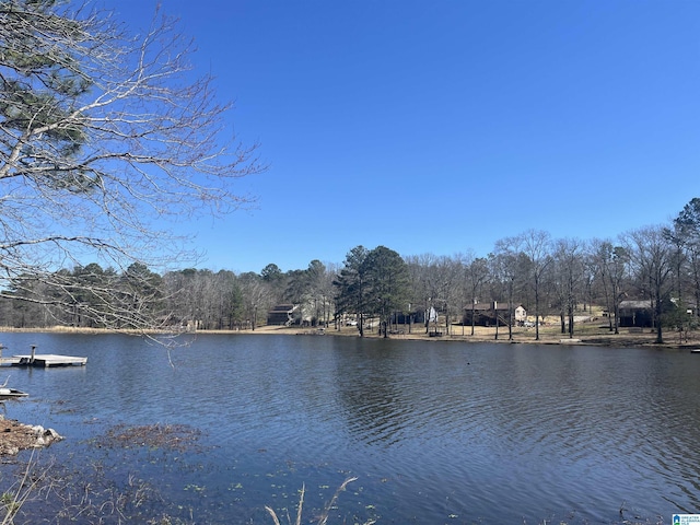 property view of water with a boat dock