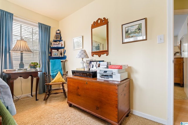 office space featuring carpet and baseboards