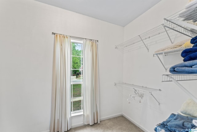 walk in closet featuring light carpet