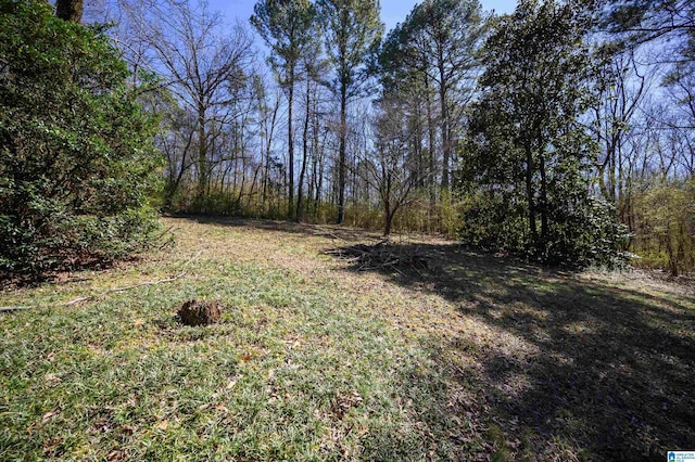 view of yard featuring a wooded view