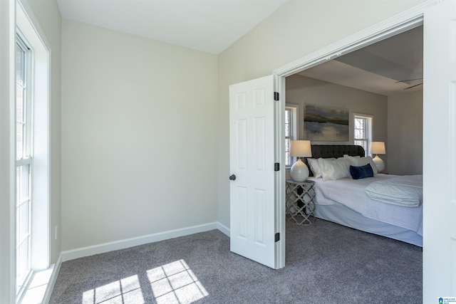 bedroom featuring baseboards and carpet floors