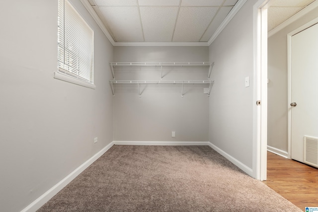 interior space with visible vents, a drop ceiling, and light carpet