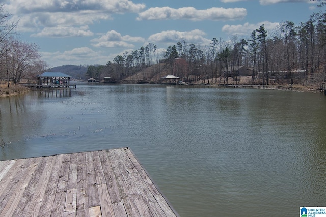 dock area with a water view