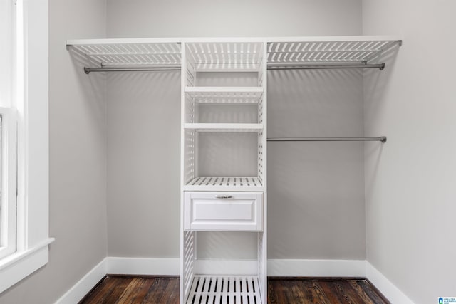 spacious closet featuring dark wood-type flooring