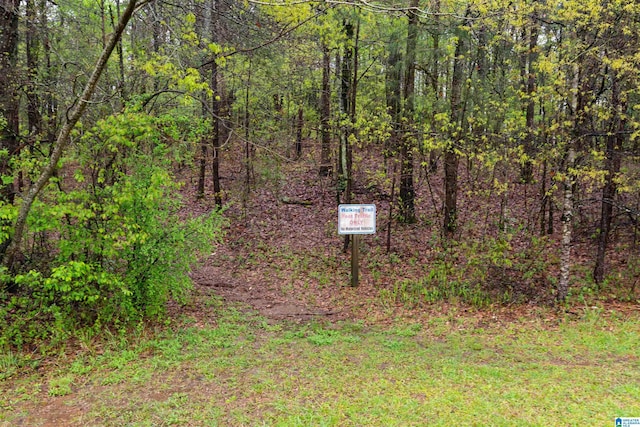 view of yard with a view of trees