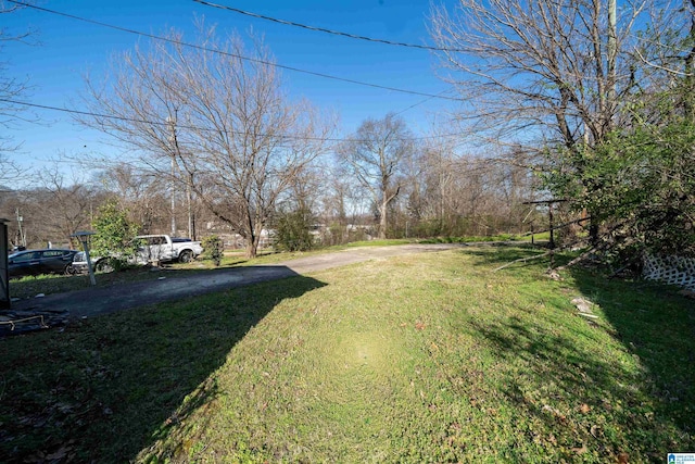 view of yard