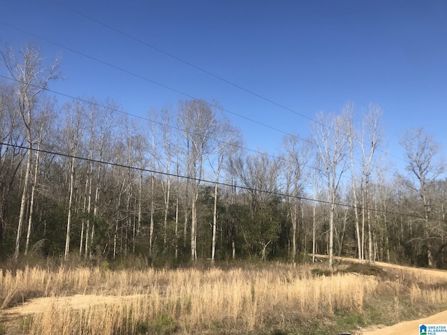 Listing photo 2 for 0 County Road 340 Unit 23, Maplesville AL 36750