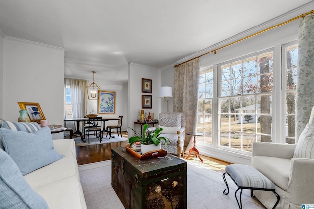 living room featuring wood finished floors and ornamental molding