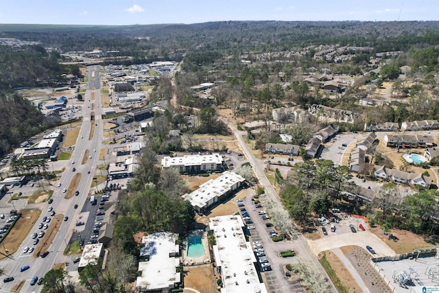 bird's eye view