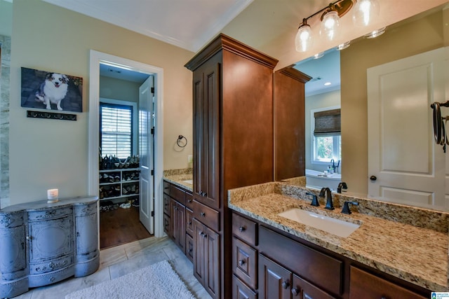 bathroom featuring a wealth of natural light, a washtub, and vanity