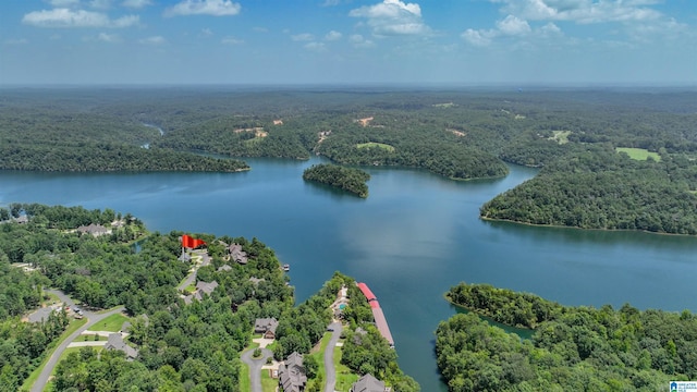 bird's eye view featuring a forest view and a water view