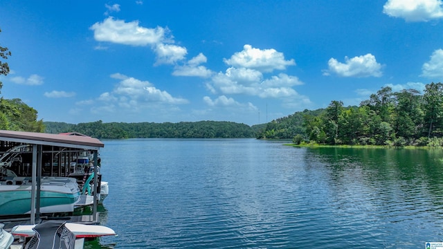 water view with a forest view and a boat dock