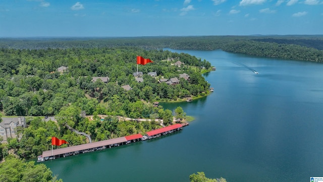 birds eye view of property with a view of trees and a water view