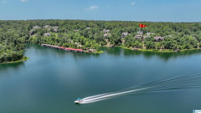 birds eye view of property featuring a wooded view and a water view