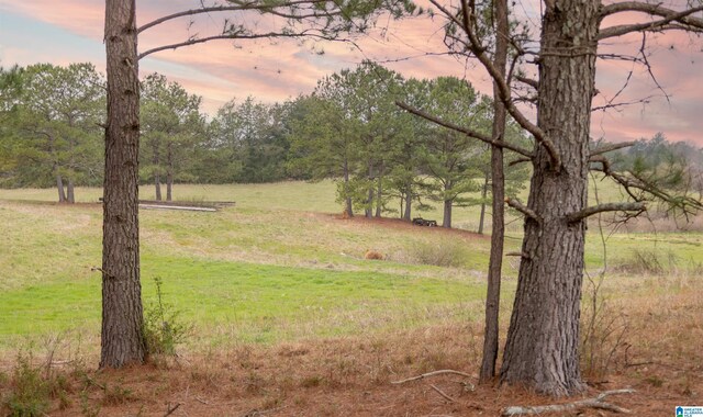 view of nature at dusk