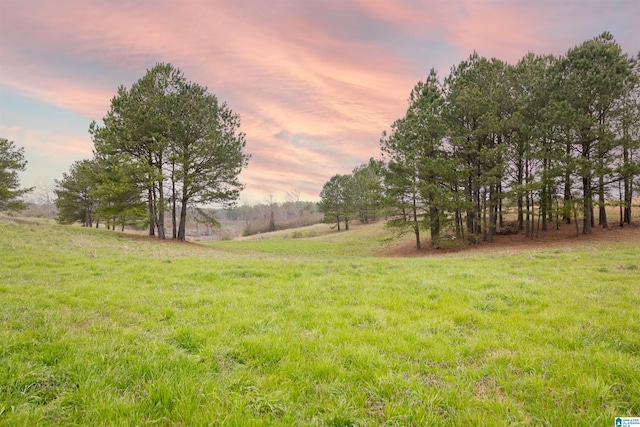 view of yard featuring a rural view