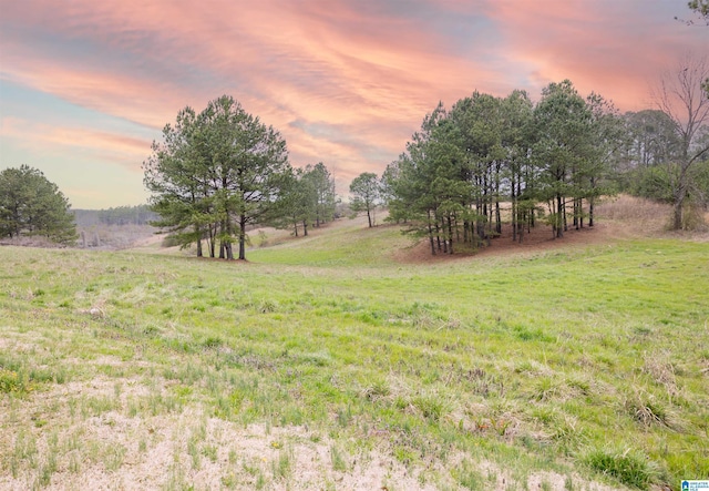 yard at dusk featuring a rural view