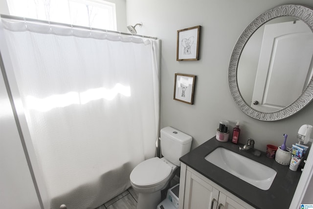 full bath with toilet and vanity