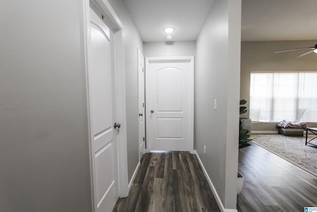 corridor featuring baseboards and dark wood-style floors