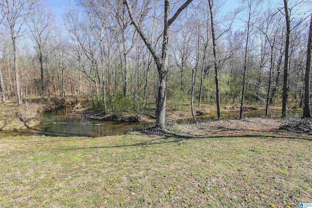 view of yard featuring a wooded view