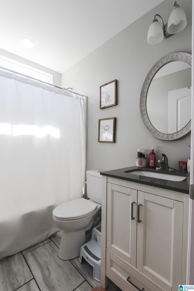 bathroom with toilet and vanity