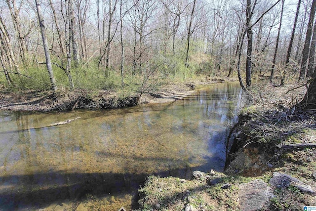 property view of water featuring a wooded view