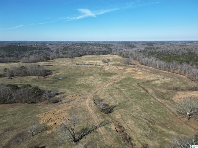 Listing photo 2 for 0 County Road 4000 Unit 0, Logan AL 35098