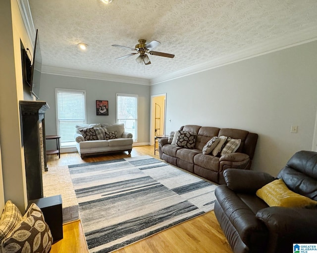 living room featuring a textured ceiling, ceiling fan, light wood finished floors, and ornamental molding