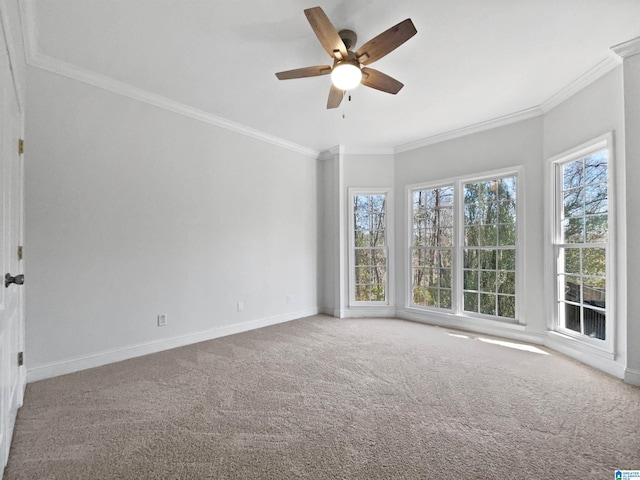 spare room featuring ceiling fan, baseboards, carpet floors, and ornamental molding