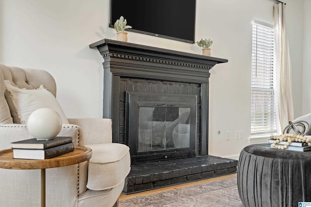 room details featuring a fireplace and wood finished floors